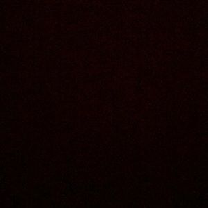 Meet your Posher, Carter